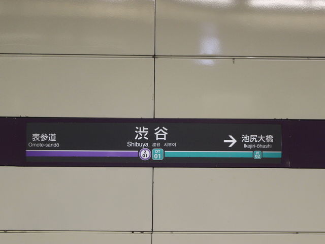 aJɓcss瓌gɂȂ܂B_}dS aJw