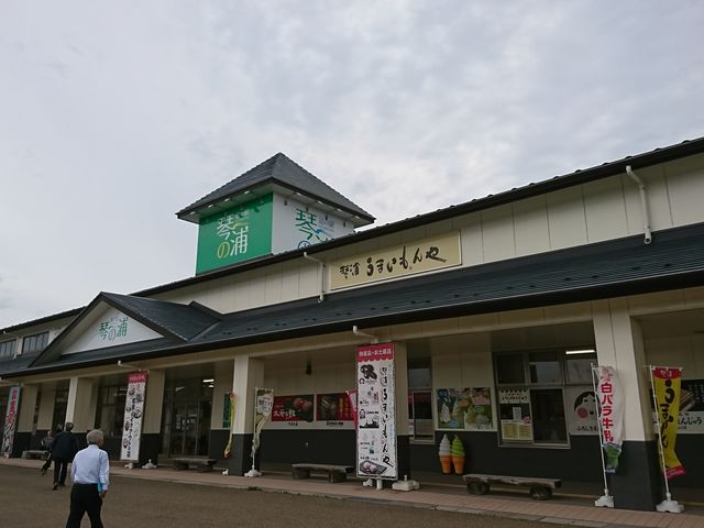 挧݂̂₰̔Ă܂_̉w Ղ̉Y