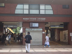 ����������̓��}���c�J���O�������w�ւ̓��e�ʐ^1