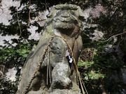 Yanwenli̐ؖRQ̓eʐ^4