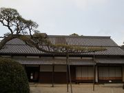 Yanwenli̍rVc̓eʐ^1