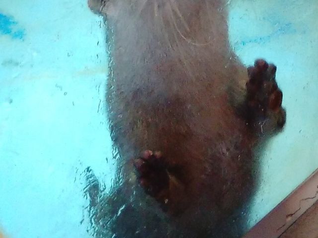 �J���E�\_��m���r�[�`�����h&��m���������ቤ��