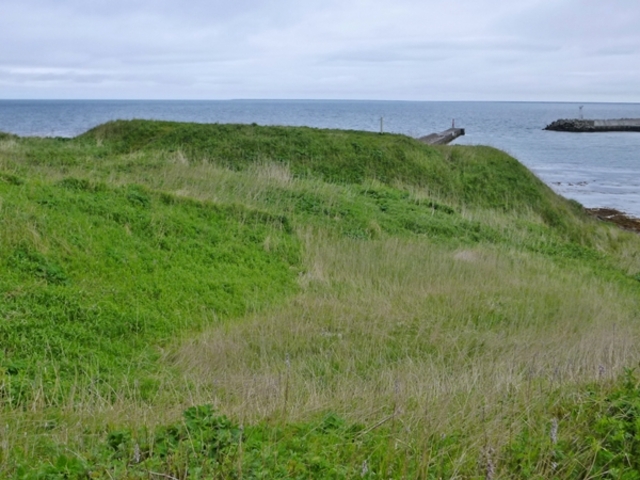 �����̒��ԏ������܂��B_�����l���g�`���V��