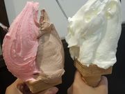 񂳂̃WF[gH[@|[[xA̓eʐ^1