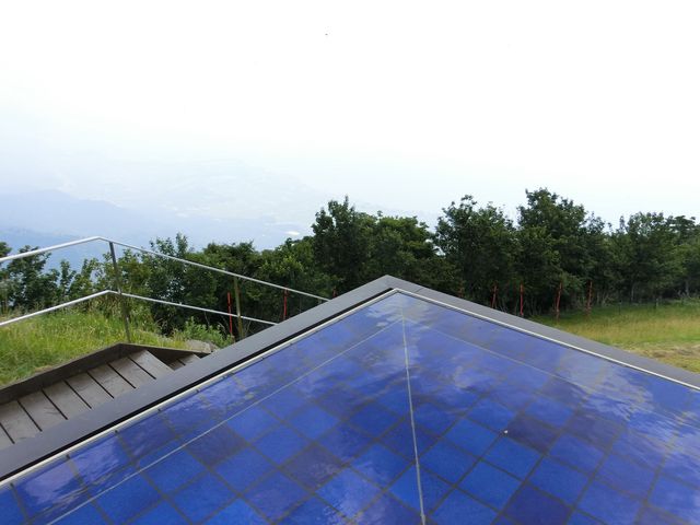 �E�b�h�e���X���猩����i�F_�т�΃e���X