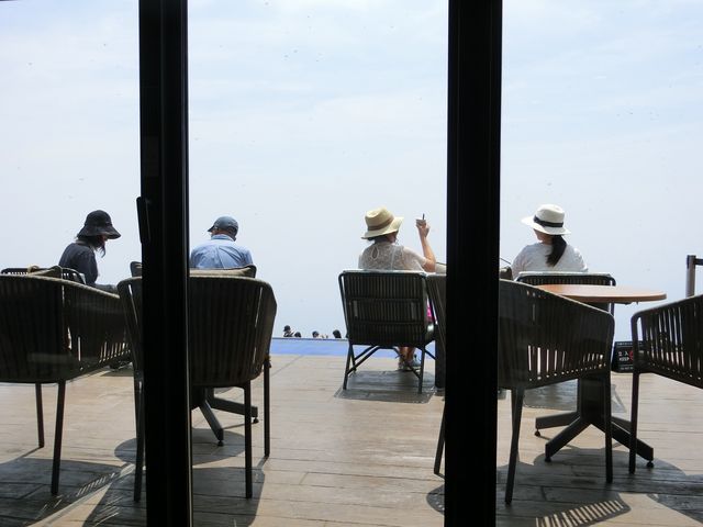 �e���X�J�t�F�̃V�[�g����̌i��_�т�΃e���X