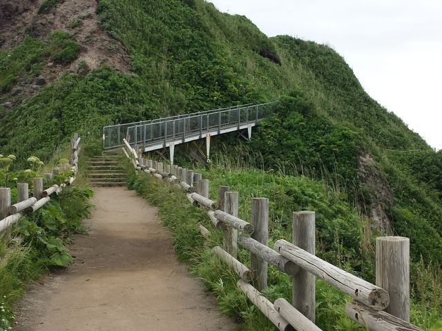 ���̐�ɂ�����C_�ϒO��