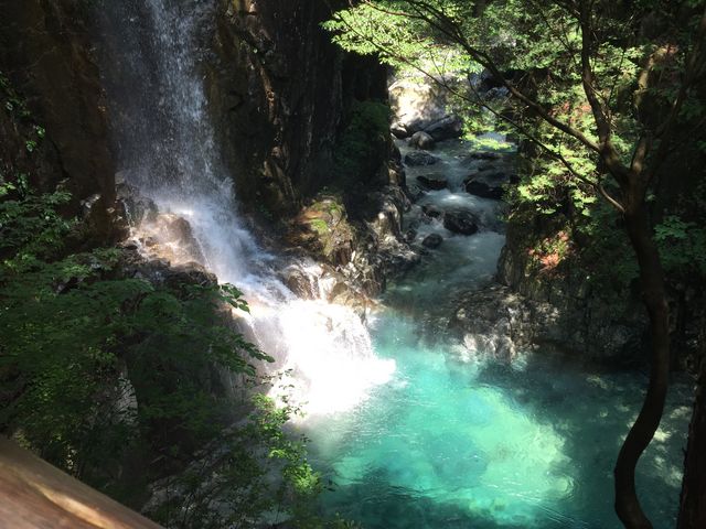 ωBGhO[̐Ɠ̃R{[VƂĂBĕʐEȗB_tm