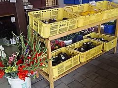 ssaws����̂܂��̉w �V�����h�ւ̓��e�ʐ^1