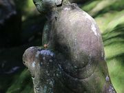 YanwenlǐܕS̓eʐ^1