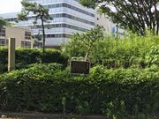 �q���V����̍��֑�،ːՂ̓��e�ʐ^1