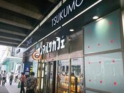 Bl̃T}NJtF TcGLBridgeX̓eʐ^1