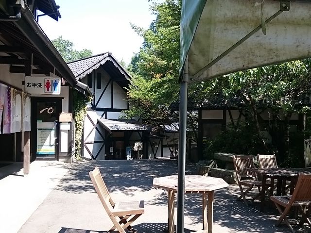 �؂̉ԃK���e���ɂ���܂�_�؂̉ԃK���e�����̂����X�g����