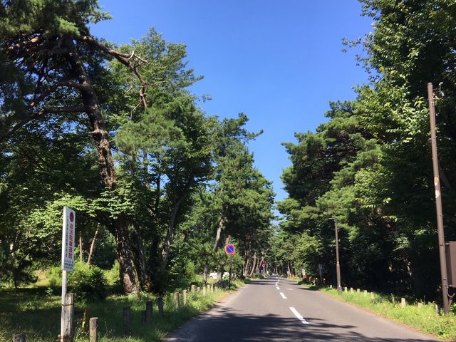 �C��̏����@_�C��̏���