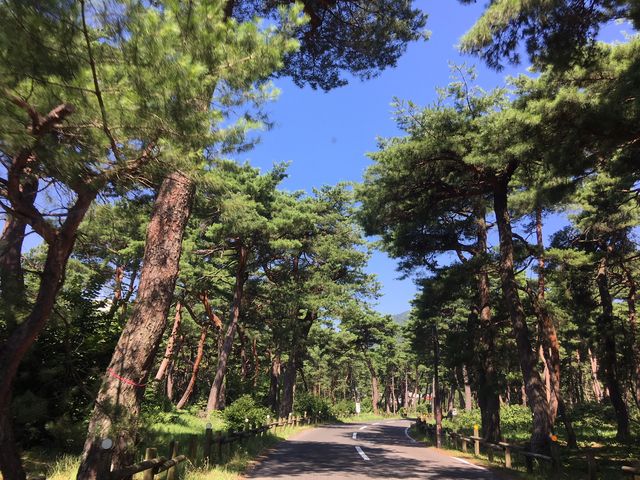 �C��̏����A_�C��̏���