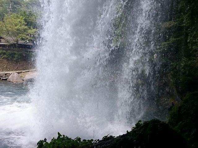 ��������B������_�����̑�