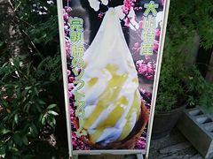 Xkv̖؂̉ԃKeւ̓eʐ^1