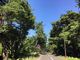 poporonさんの松原公園（福井県敦賀市）への投稿写真4