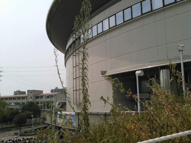 ���{�K�C�V�z�[��_���{�K�C�V�z�[��