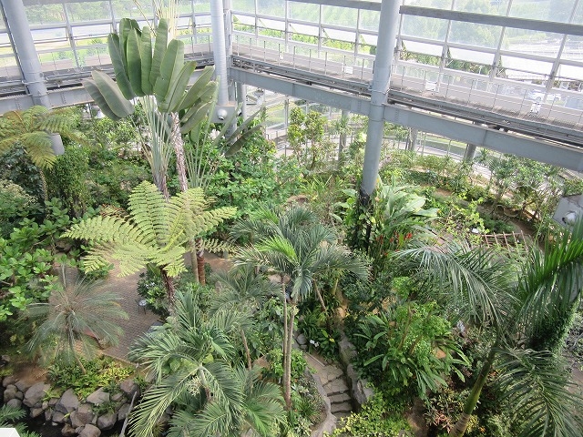 茨城県の魅力紹介 雲 | 茨城県の魅力紹介 雲 【県植物園 新愛称