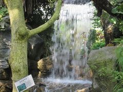 じゅうぞうさんの茨城県植物園の投稿写真5