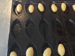 �݂̂���̌�َq��a�@���[�X�ւ̓��e�ʐ^1