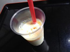 hijikigoke̎l@ϑPقւ̓eʐ^1