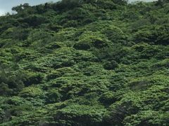 いーづさんの蛇円山の投稿写真1