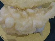 hhEgv̂͂܎ioʎᑐX̓eʐ^1