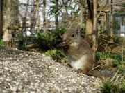 �Ƃ��݂���̈�̓����R�������̓��e�ʐ^1