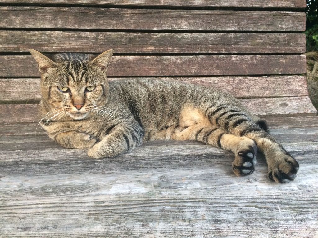 宮崎の公園・庭園ランキングTOP10 - じゃらんnet