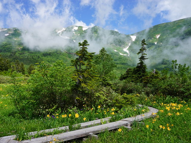 �̒r���R��