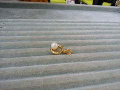 こちらの真珠の方が大きめだが、貝柱の切断に苦労した。_三重県真珠