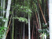 kenken����̒Ή������ِՂ̓��e�ʐ^1