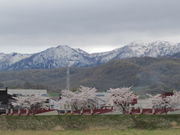 ҂҂낳̗]s؂̓eʐ^1