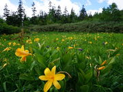 J`̒̒rR̃jbRELXQ̓eʐ^4