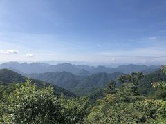 Ƃ炭񂳂̌yւ̓eʐ^1