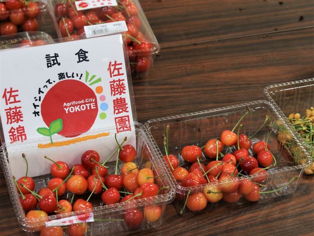 TN{Hi_̉w \ ܂߂ł炪`