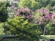 kazu����̕������̃T���X�x���̓��e�ʐ^1