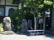 kazu����̔��e�˂̓��e�ʐ^1