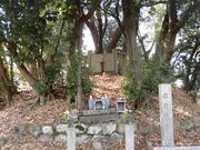 dai-nekǒO̓̕eʐ^2