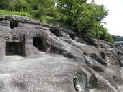 dai-neko̒SÕ̓eʐ^1