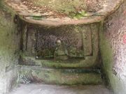 dai-neko̒SÕ̓eʐ^2