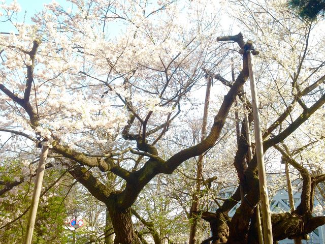 ���J����_�Ί���