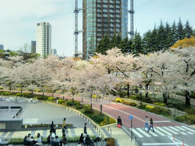 �����~�b�h�^�E���̍�����_�����~�b�h�^�E��