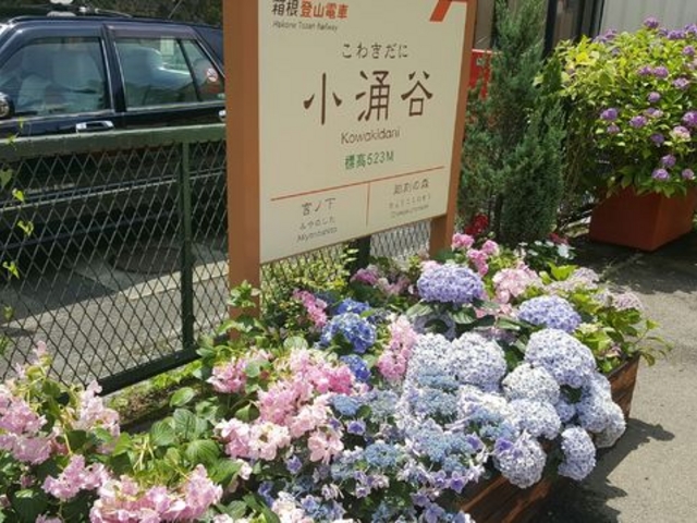 ��������_�����o�R�S�����O�J�w