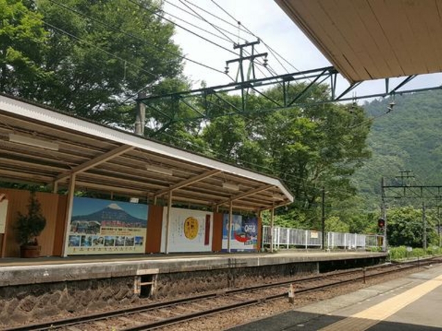 �̂ǂ��ł��B�ǂ����������A�����Ȃ�_�����o�R�S�����O�J�w