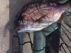 񂳂̊Cޖx@ނ̓Cւ̓eʐ^1