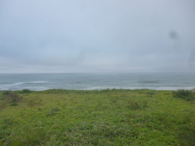 �ڂ̑O�������m_������Ӑ�����