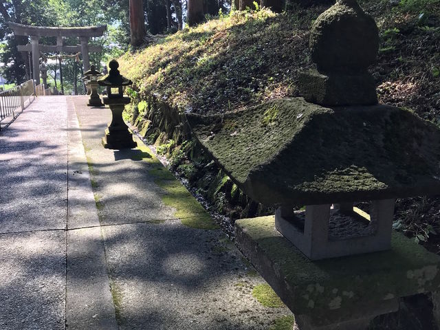 �ۂނ������U_�C����{�_��